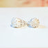 White Cones Shells